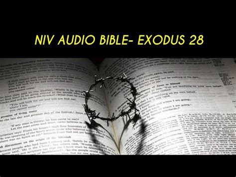 Exodus 623. . Exodus 28 niv